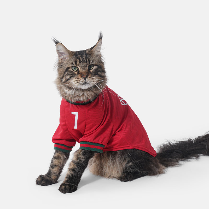 Portugal FPF Pet No.7 Home Jersey - Red